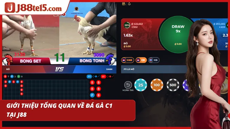 Giải đấu C1 quy tụ những chiến kê dũng mãnh và xuất sắc
