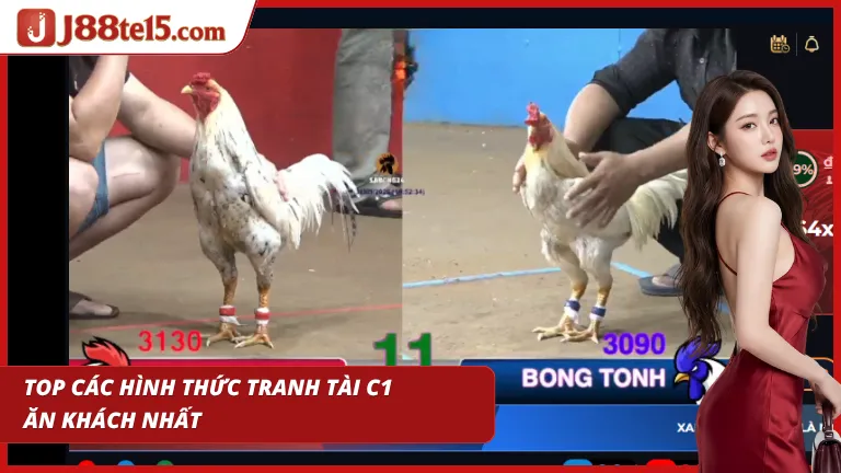 Đá gà C1 cung cấp đa dạng các thể thức thi đấu đỉnh cao