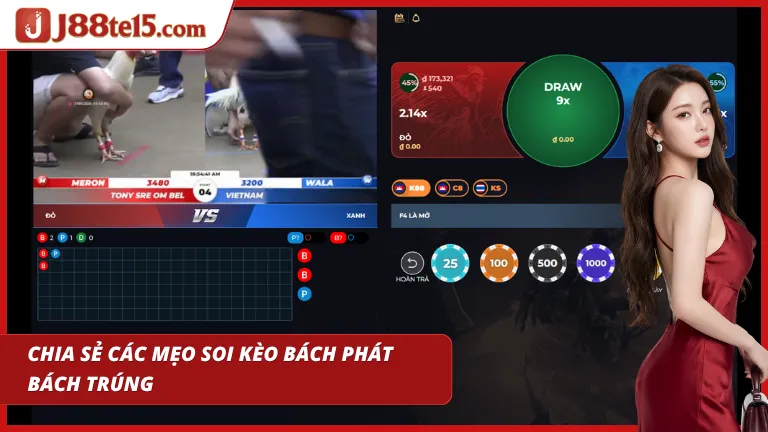 Bí quyết tham gia đá gà C1 thu về lợi nhuận khổng lồ