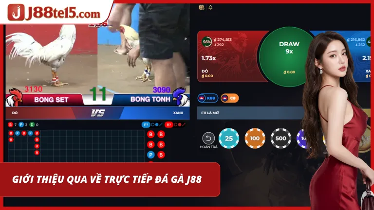 J88 với chất lượng phát sóng các trận cầu cực hấp dẫn
