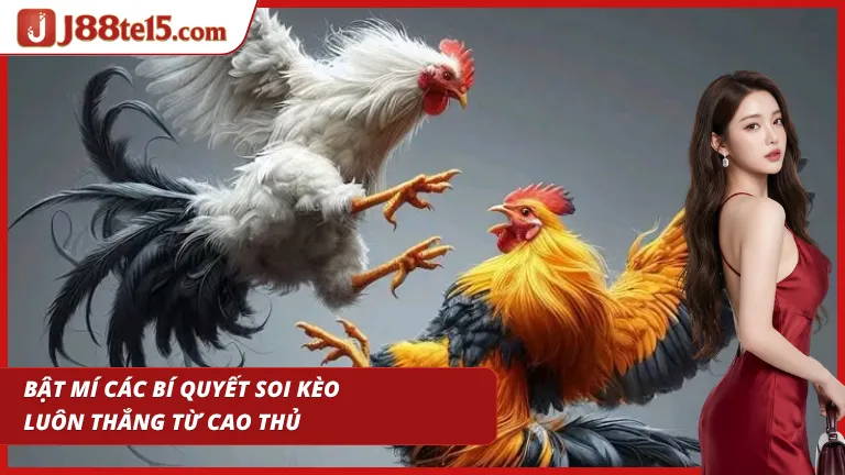 Áp dụng chiến thuật soi kèo thông minh để gia tăng tỷ lệ thắng